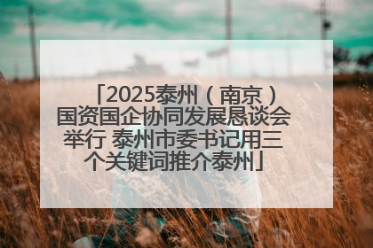 2025泰州（南京）国资国企协同发展恳谈会举行 泰州市委书记用三个关键词推介泰州
