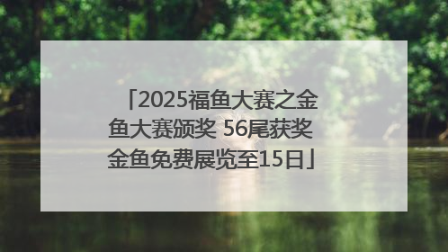 2025福鱼大赛之金鱼大赛颁奖 56尾获奖金鱼免费展览至15日
