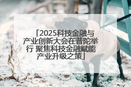 2025科技金融与产业创新大会在普陀举行 聚焦科技金融赋能产业升级之策