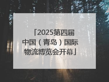 2025第四届中国（青岛）国际物流博览会开幕