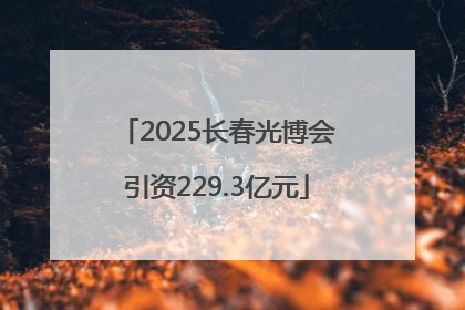 2025长春光博会引资229.3亿元