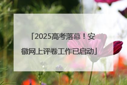 2025高考落幕！安徽网上评卷工作已启动