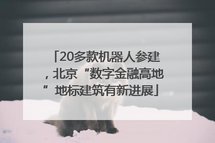 20多款机器人参建，北京“数字金融高地”地标建筑有新进展
