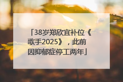38岁郑欣宜补位《歌手2025》，此前因抑郁症停工两年
