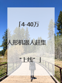 4-40万 人形机器人赶集“上线”