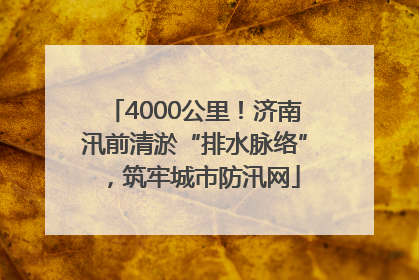 4000公里！济南汛前清淤“排水脉络”，筑牢城市防汛网