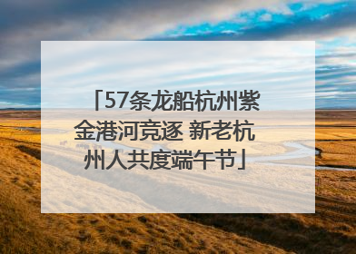 57条龙船杭州紫金港河竞逐 新老杭州人共度端午节