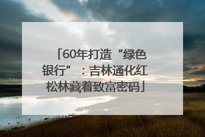 60年打造“绿色银行”：吉林通化红松林藏着致富密码