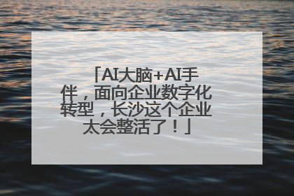 AI大脑+AI手伴，面向企业数字化转型，长沙这个企业太会整活了！