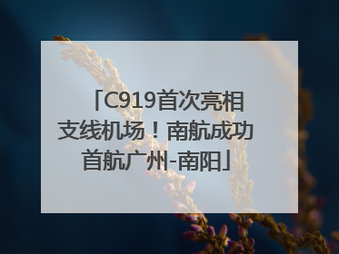 C919首次亮相支线机场！南航成功首航广州-南阳