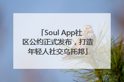 Soul App社区公约正式发布，打造年轻人社交乌托邦